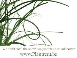 Plantrent logo