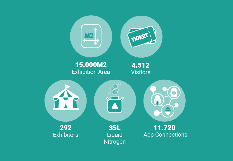 cijfers festivak 2026 -ENG